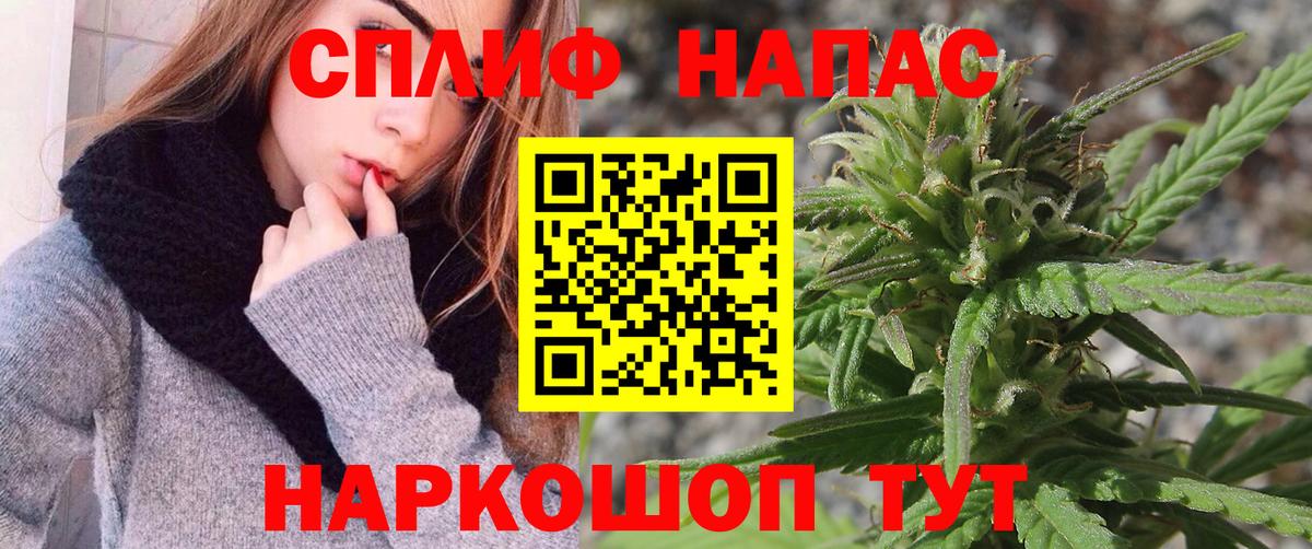 Бошки марихуана планчик  Вход с VPN  Марихуана план  Каннабис THC 21%  Сургут 